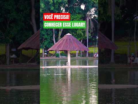 ESSE PESQUEIRO FICA EM PAULÍNIA/BETEL NO INTERIOR DE SÃO PAULO,  TEM MUITO PEIXE!! #pesca #pesqueiro