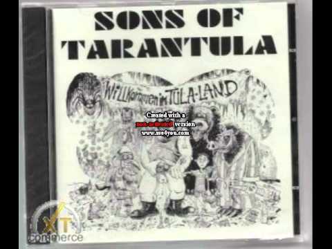 Sons of Tarantula - Hitz mit Witz - Intro