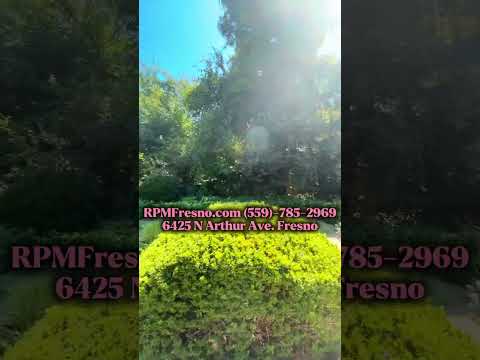 $2,295 Fruit & Sierra 3 Bedroom home - N. Arthur Ave. Fresno property video