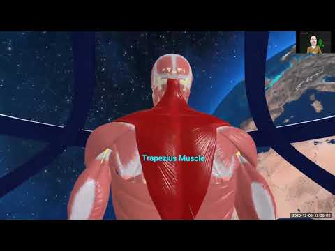 Anatomy Explorer overview