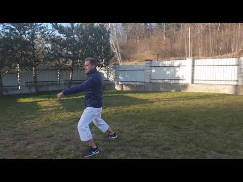 KATA Taikyoku Shodan (9 kyu)