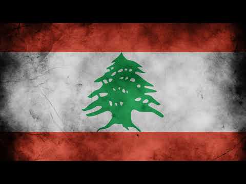 LYF - Fatimiya Majlis 2024 | 1446  Sheikh Fadel Farhat Night 1