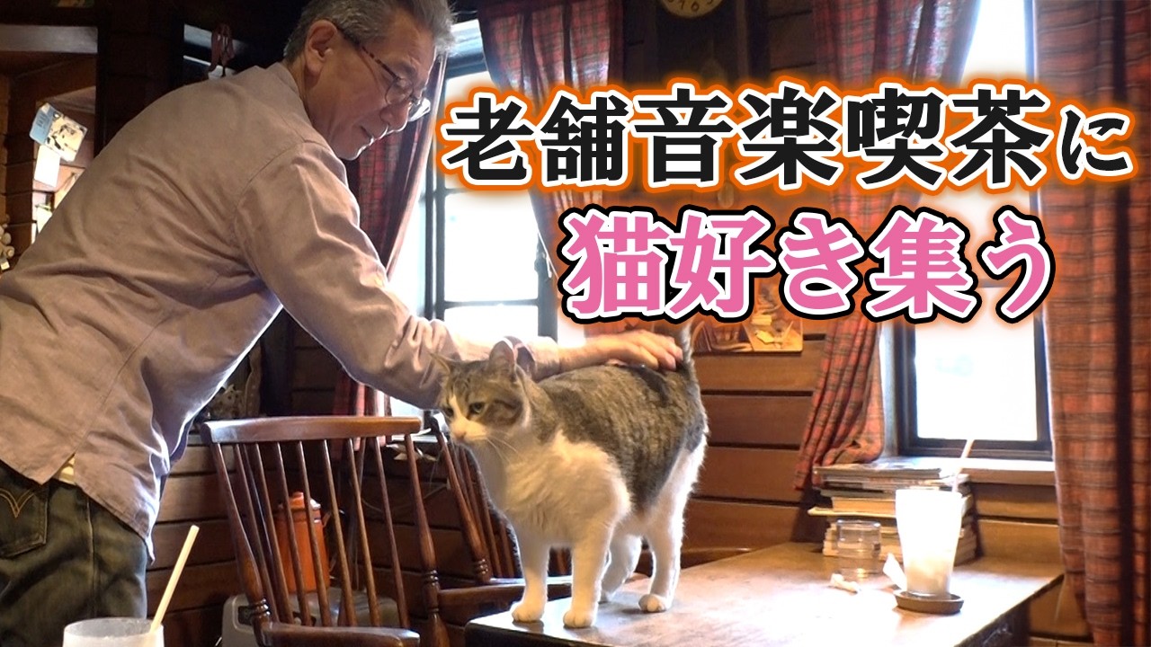 猫好きが集まるワケとは・・・