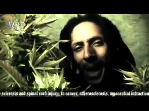Weed Songs: Julian Marley - Boom Draw