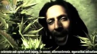 Weed Songs: Julian Marley - Boom Draw