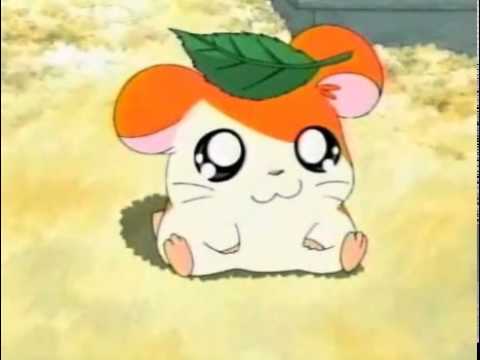 Hamtaro Opening german/deutsch