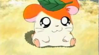 Hamtaro Opening german/deutsch