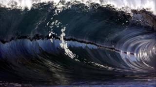 Thee Oh Sees ~ Tidal Wave