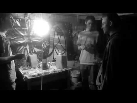 If the music make you move