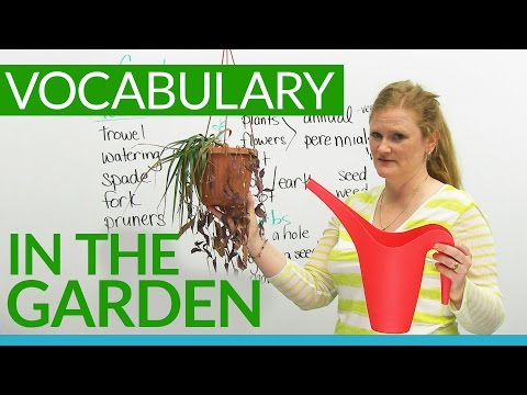 英単語。庭で (English Vocabulary: In the GARDEN)