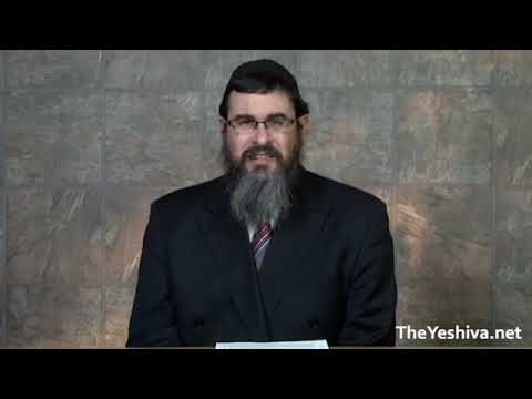 Rabbi Yossi Paltiel  - The Seventh Generation How the Rebbe Assumed Leadership of Chabad