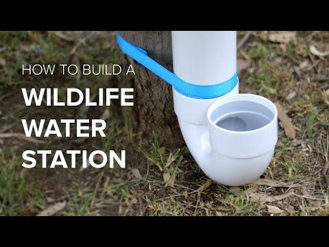How to build a wildlife water station