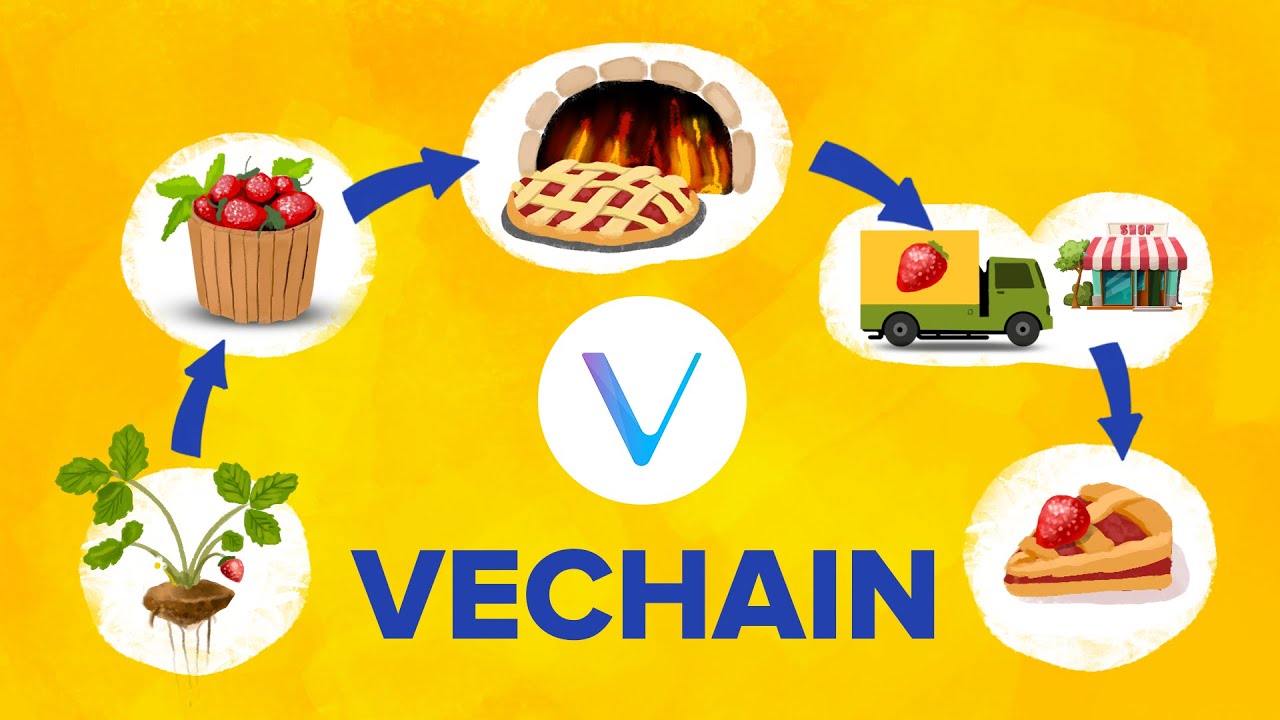 What is VeChain? VET Supply Chain Solution Explained!