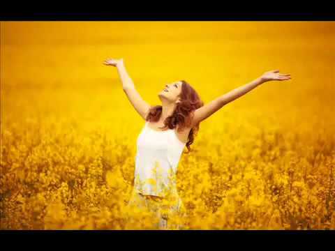 8 Hours Relaxing Guitar Instrumental Music For Concentration, Spa, Healing 🎧 152
