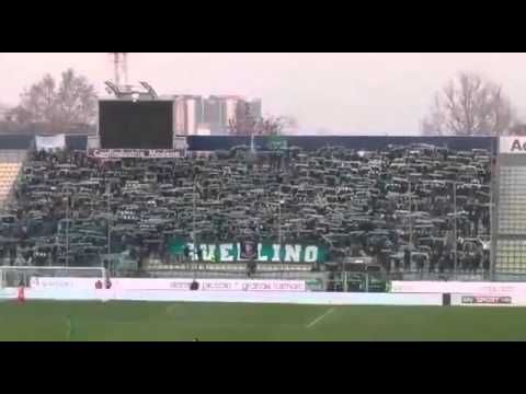 Modena - Avellino 1-1 "sciarpata Irpina" 23.01.2016