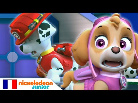 Paw Patrol : La Pat' Patrouille | Marcus le somnambule | Nick Jr.