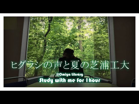 Study With Me 2023 ‐ 芝浦工大で一緒に勉強しませんか？【Part6】ヒグラシと優しいピアノ