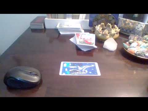 Stay Off Your Phones 😂🤣😁 Spirit Thinks They're Funny!!!