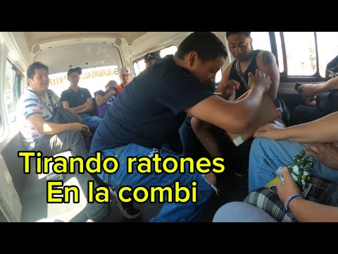 MAGIA EN LA COMBI CON EL MAGO BRAYAN @MagoBrayan2 @Bromasdelrey_95 