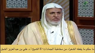 صورة أ.د. علي الشبل | ما حكم ما يفعله الشعراء من مخاطبة الجمادات