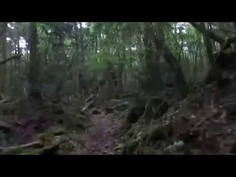 DØVES PRIVATE SET 7/22