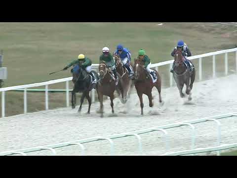 2021.10.10. 04. futam - RAPP CSABA EMLÉKVERSENY HENDIKEP (II.o.) (szintetikus pálya)