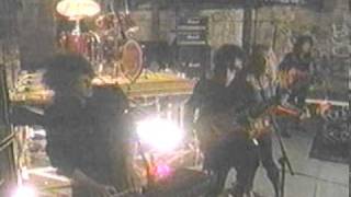 TOMMY SHAW   No Such Thing