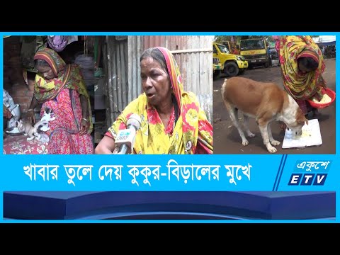 উপার্জিত টাকার অংশ ব্যয় করছেন কুকুর ও বিড়ালের খাবারের পেছনে