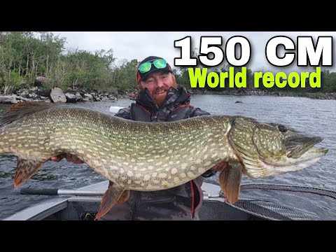 Les plus gros Muskie du monde(les Monstres d Amérique du Nord)