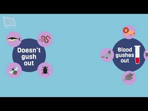 Ahkam in Brief -  Najis Things