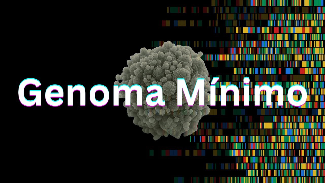 El Enigma del Genoma Mínimo