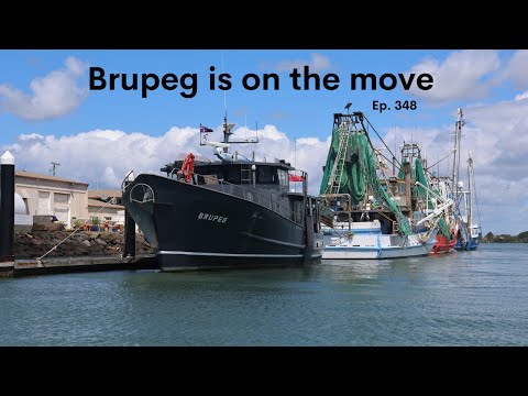 Brupeg is on the move - Project Brupeg Ep. 349