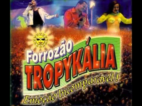 Forrozão Tropykalia - Áudio do DVD I - São Luis - MA - 2005