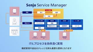 Senju/SM YouTube Video