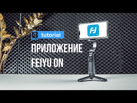 Feiyu ON - Настройки и возможности приложения | Туториал