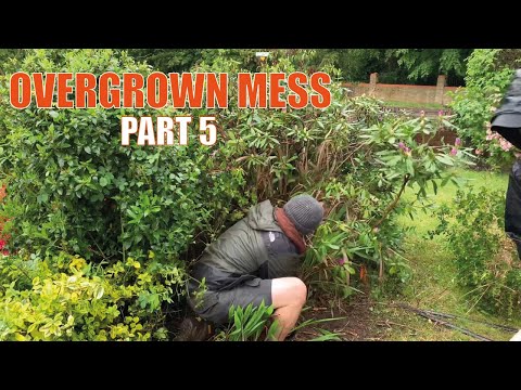 This Homeowner NEEDED Help | Free Overgrown Yard Makeover | Part 5