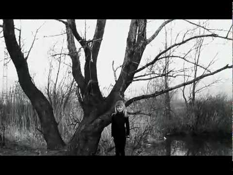 Steven Wilson- The 78