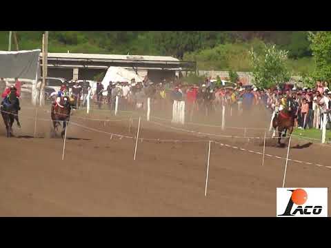 GALLEGUITO SOHAR 7 11 2021