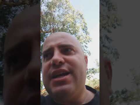 3. Rosarno. L'unico sono io che valorizza con intelligenza la Calabria con gli scambi culturali.