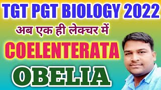 TGT/PGT BIOLOGY 2022 || Coelenterata Obelia full lecture || Coelenterata || Obelia || Biology Zone