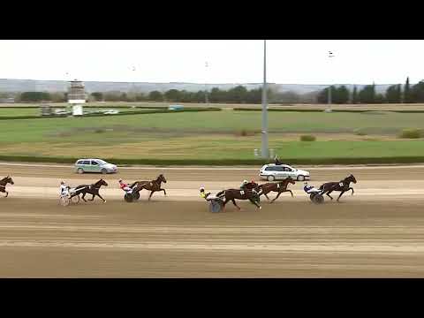 Ippodromo dei Sauri - 1' corsa del  1 dicembre 2024