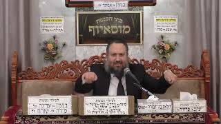 הרב יעקב שמש | מעלת השמחה והאמונה בימי חודש אדר | מוסאיוף (בית הכנסת מוסאיוף - ערוץ חדש) - התמונה מוצגת ישירות מתוך אתר האינטרנט יוטיוב. זכויות היוצרים בתמונה שייכות ליוצרה. קישור קרדיט למקור התוכן נמצא בתוך דף הסרטון