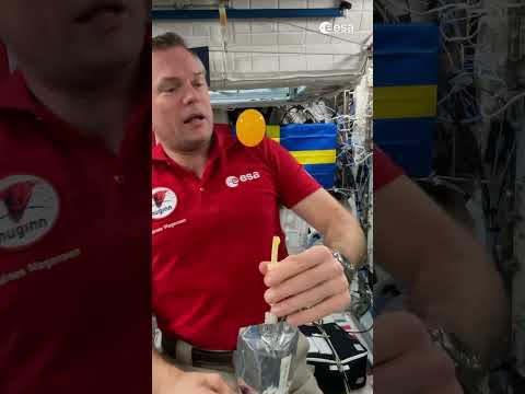How to drink orange juice in space (Fun way)🧃 #shorts