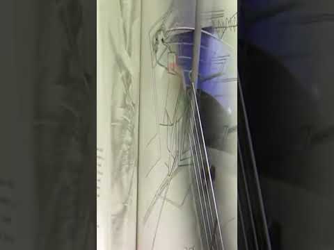 LE MONDE DE JÜRG DA VAZ