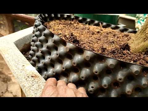 chất trồng nào phù hợp nhất cho cây trồng