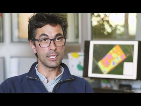 Precision Farming: How satellite images determine the optimum corn seed rate | KWS World of Farming