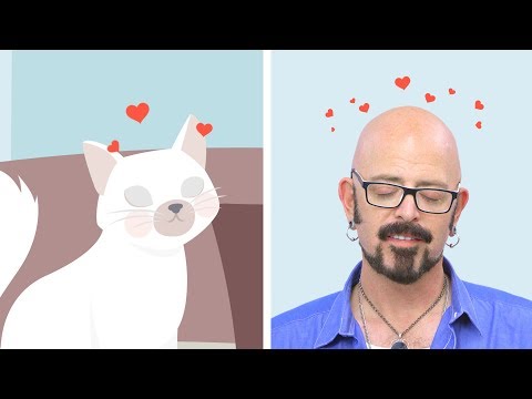 Jackson Galaxy Reveals How To Tell Your Cat 