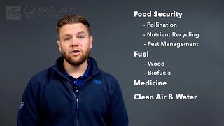 Biodiversity - Sustainability Masterclass