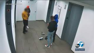 Video: Follow-home robbery caught in surveillance video as victims waited for elevator l ABC7