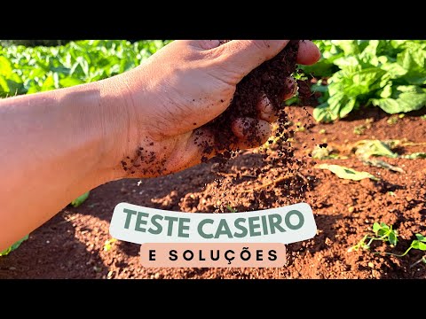 COMO MEDIR O PH DO SOLO | Terra de Horta